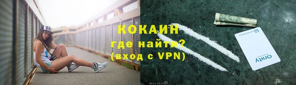 шишки Краснотурьинск