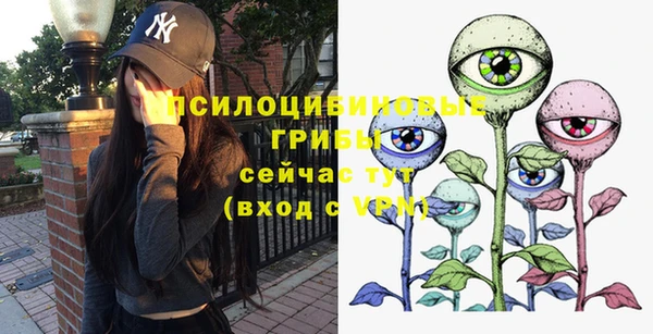 ECSTASY Краснослободск
