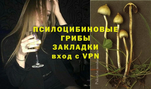 ECSTASY Краснослободск
