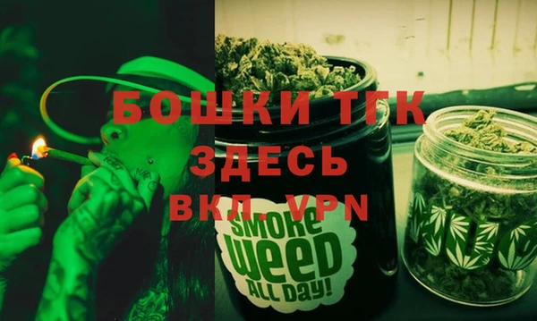 шишки Краснотурьинск