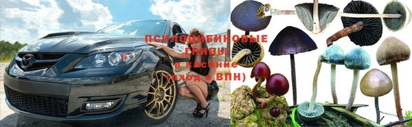 ECSTASY Краснослободск