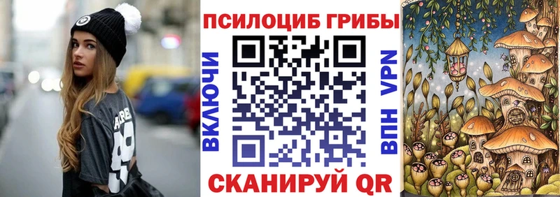 Псилоцибиновые грибы Psilocybine cubensis Купить Болотное