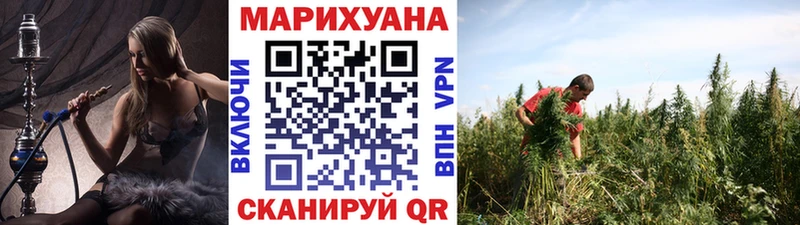 Каннабис Amnesia  Купить закладки  Болотное 